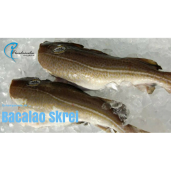 Bacalao skrei