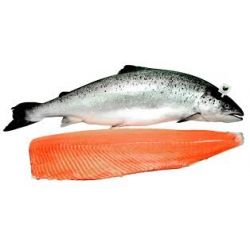 comprar salmon entero