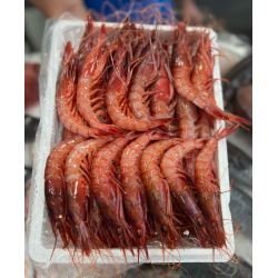 gamba roja o alistado a domicilio pescaderia fresco