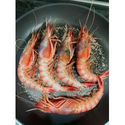 Comprar gamba roja fresca de Garrucha o alistado fresco de Ayamonte e Isla Cristina, recién llegado de la lonja. Uno de los mariscos más sabrosos, capaz de transformar cualquier plato marinero.
El precio es por kilo. 