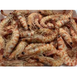 Comprar langostino tigre online. El precio es por kilo.
Seleccione el tamaño. También ofrecemos el servicio de cocción, solo por 1,50€. 
 