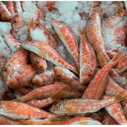 Salmonetes pequeños malaga