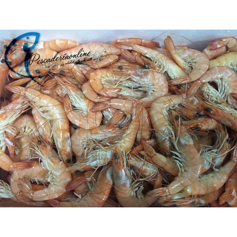 Langostino cocido