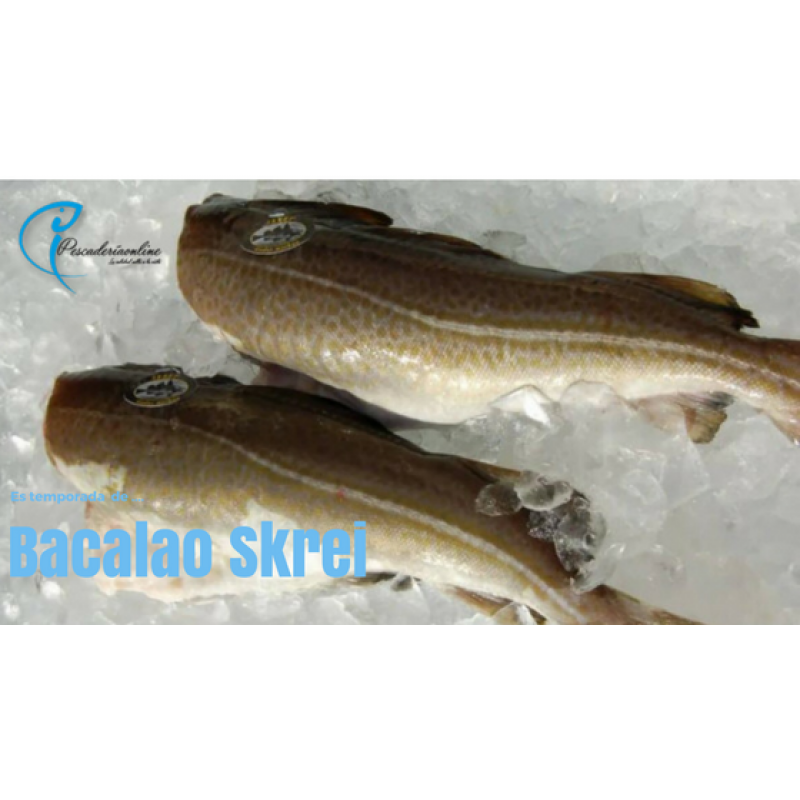 Bacalao skrei