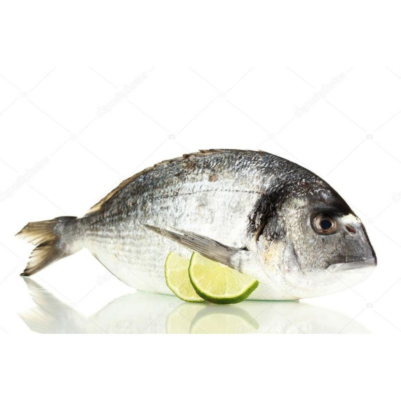 Dorada salvaje