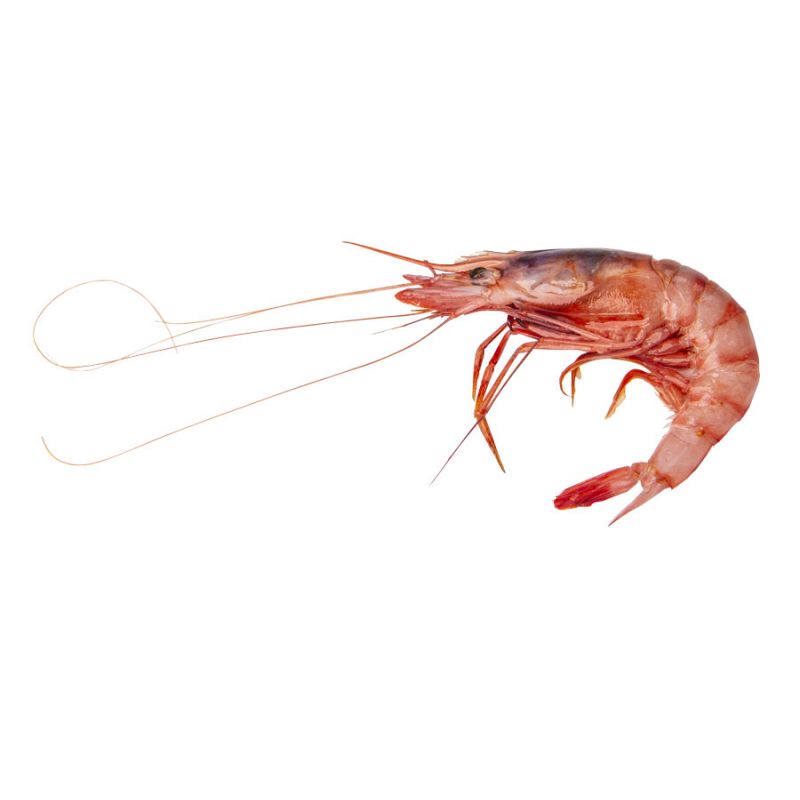 Gamba roja de garrucha fresca a domicilio