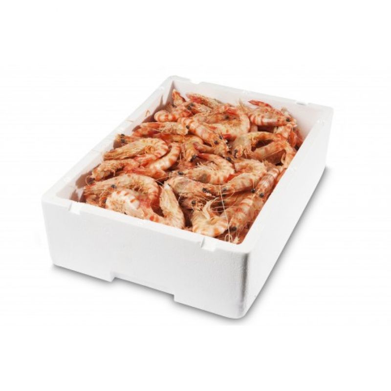 Langostino tigre cocido
